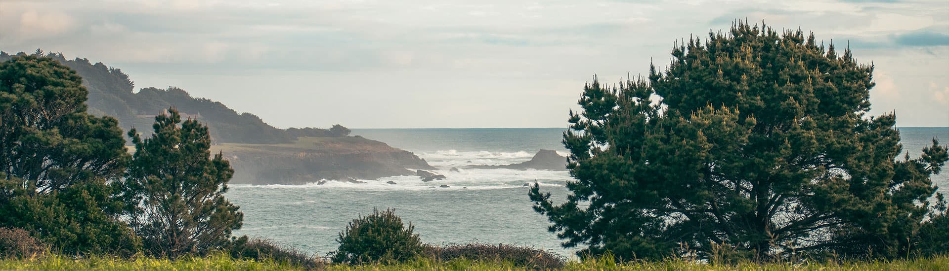 Mendocino coastal landscape with pine trees, cliffs, and crashing waves.