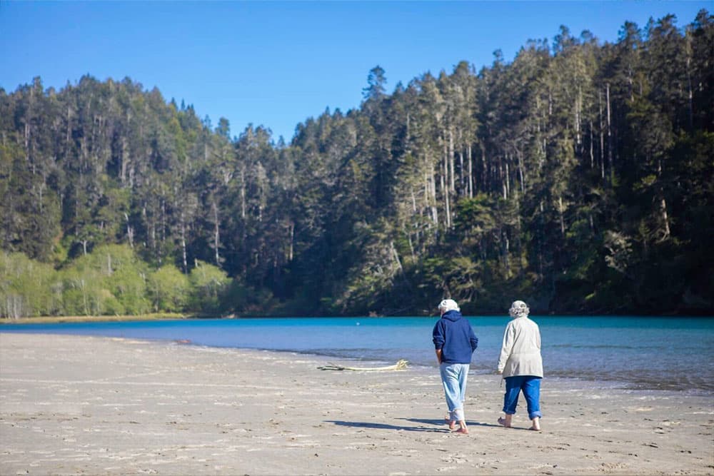 Two people walk along a sandy beach beside a tranquil blue river, framed by lush green trees.